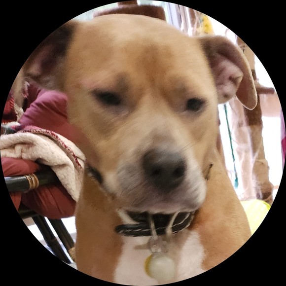 Profile Picture of Melissa Baumgartner (@smkmcb1701) on Poshmark