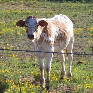 Profile Picture of Kameron Mccarty (@132738762) on Myspace