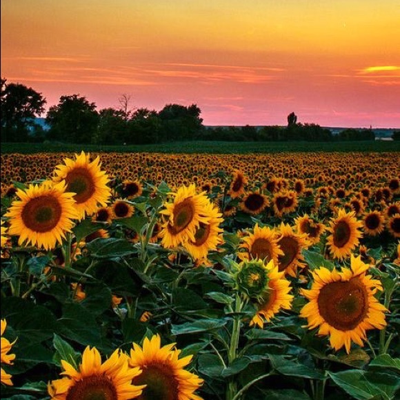 Profile Picture of Keri Martinek (@kmartinek) on Poshmark