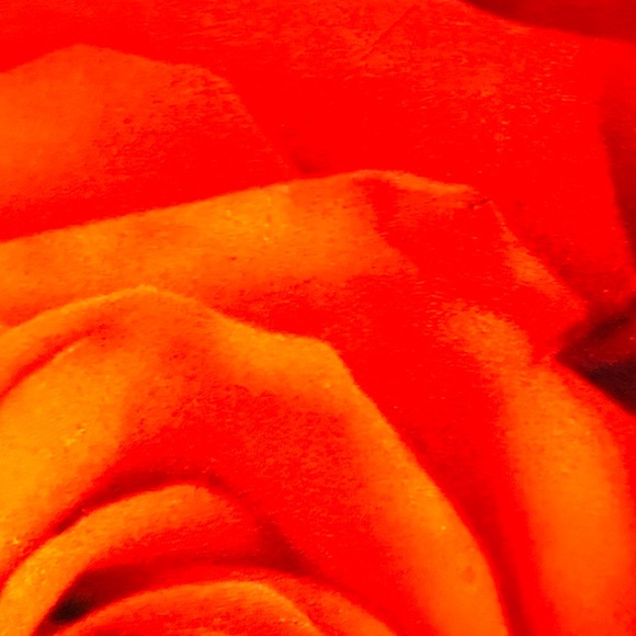 Profile Picture of Michael Cobb (@mdcobb4u) on Poshmark