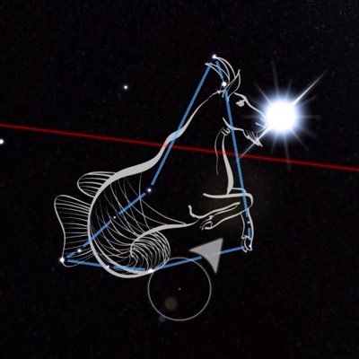 Profile Picture of Raven Michael Shaikh (@raven_shaikh) on Twitter