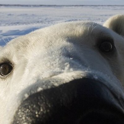 Profile Picture of Daryl Chew (@Daryl_Chew) on Twitter