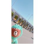 Profile Picture of 熊恐🐻 (@__bear.brown__) on Instagram
