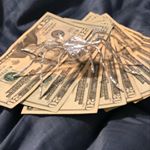 Profile Picture of Jeffrey 🕷🕸 (@8leggedjeffrey) on Instagram