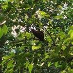 Profile Picture of David Stadelmann (@stadelmann.david) on Instagram