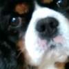 Profile Picture of tony grogan (@@tonygrogan4) on Tiktok