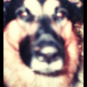 Profile Picture of Borget David (@yoloborget) on Twitter