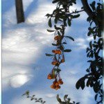 Profile Picture of Alfreda (@alfredarushw) on Instagram