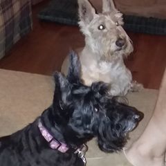Profile Picture of Joseph St Pierre75 (@josephstpierre75) on Tiktok