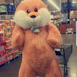 Profile Picture of steven Rodgers (@le_griff_) on Instagram