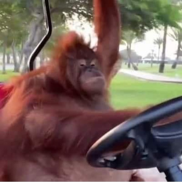 Profile Picture of Max Pichardo (@istaylefty1) on Poshmark