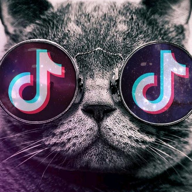 Profile Picture of Football Onlooker (@bmwaudiq5) on Tiktok