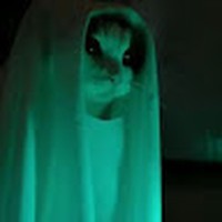 Profile Picture of Tania Solano (@tania-solano-9) on Quora