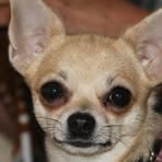 Profile Picture of Cora Jaschinski (@cora.jaschinski) on Facebook