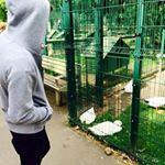 Profile Picture of Matthew Pounder (@matthewpounder) on Instagram