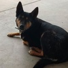 Profile Picture of Matthew Barber (@@user2537073262324) on Tiktok