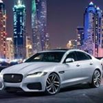 Profile Picture of Luís Raposo (@luisraposo_) on Instagram