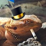 Profile Picture of Vincent Hartmann (@meme_aroni_) on Instagram