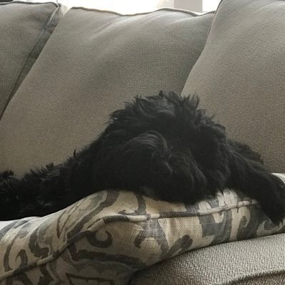 Profile Picture of Miranda Bone (@mirandabone) on Twitter