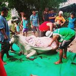 Profile Picture of Braavyzden Brian Okari (@brantison_lamar) on Instagram