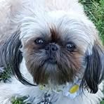 Profile Picture of Janet Schiele (@jlschiele) on Facebook