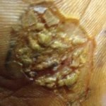 Profile Picture of Jayson Werth (@werthj123) on Instagram