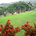 Profile Picture of Sunil Chandra (@sunil.chandra.5) on Facebook