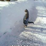 Profile Picture of Zachary Hancock (@zachary_hancock17) on Instagram