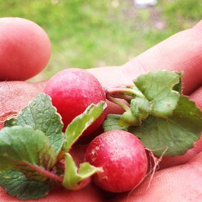 Profile Picture of Sean Bender (@earthcaribou34) on Twitter