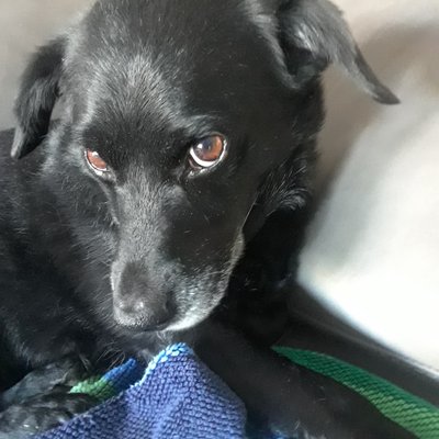 Profile Picture of Philip Poulos (@PoulosPhilip) on Twitter