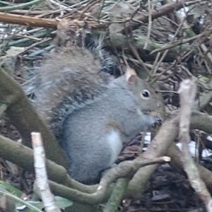 Profile Picture of James Mun (@pJ7kmL6Cmo2aNTt) on Twitter