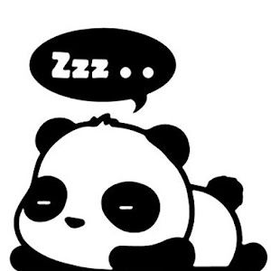 Profile Picture of chassidy (@chassidyxoxo) on Tiktok