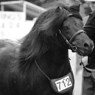 Adele Garraway - Facebook Profile Picture of Adele Garraway (@adele.garraway) on Facebook