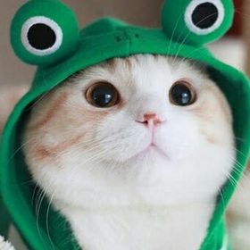 Profile Picture of Jasmin Meinke-Zhao (@meinkejasmine) on Pinterest