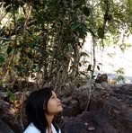 Profile Picture of July Paw (@July-Paw) on Facebook