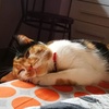 Profile Picture of Carlo Bono (@@tiradentx) on Tiktok