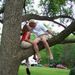 Profile Picture of Diane Nusbaum (@dnusbaum) on Pinterest