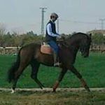 Profile Picture of Felipe Dueñas Tomás (@felipe_duenas_tomas) on Instagram