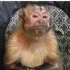 Profile Picture of Adrian Rosete (@adrianrosete3) on Tiktok