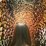 Profile Picture of Cadence Martin (@irregularcadence) on Instagram