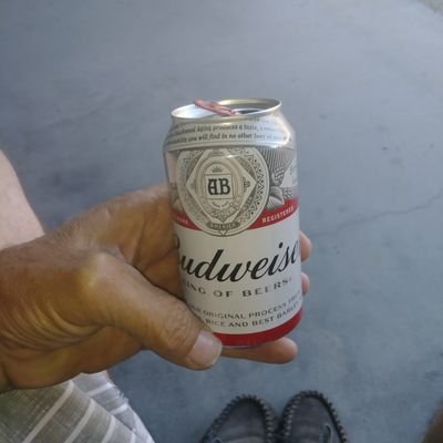 Profile Picture of William Vandervoort (@William84884337) on Twitter
