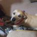 Profile Picture of Ralph Stephens (@ralph.stephens.1460) on Facebook