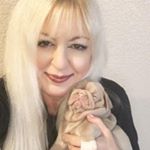 Profile Picture of Jennifer Robertson (@jenspinkpugsandfrenchies) on Instagram