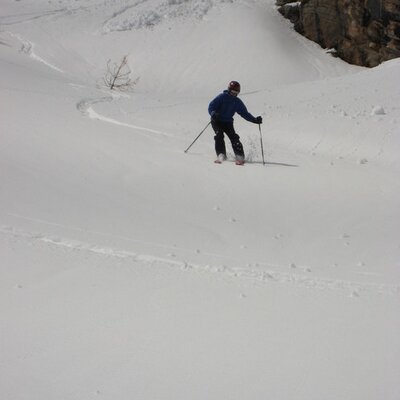 Profile Picture of Tom Hare (@tomhare1) on Twitter