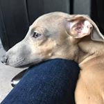 Profile Picture of Richard Cornelius (@richard.cornelius.771) on Instagram