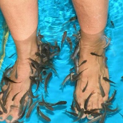 Profile Picture of Sandra Boots (@SanBoots) on Twitter