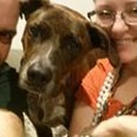 Profile Picture of Craig Porter (@craig-porter-17) on Quora