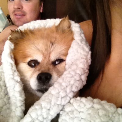 Profile Picture of Bryan Heun (@BHeun85) on Twitter