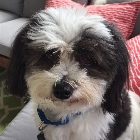 Profile Picture of Steven Waxler (@njwax) on Poshmark