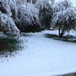 Profile Picture of Ayman Al-Khatib (@ayman0098) on Instagram